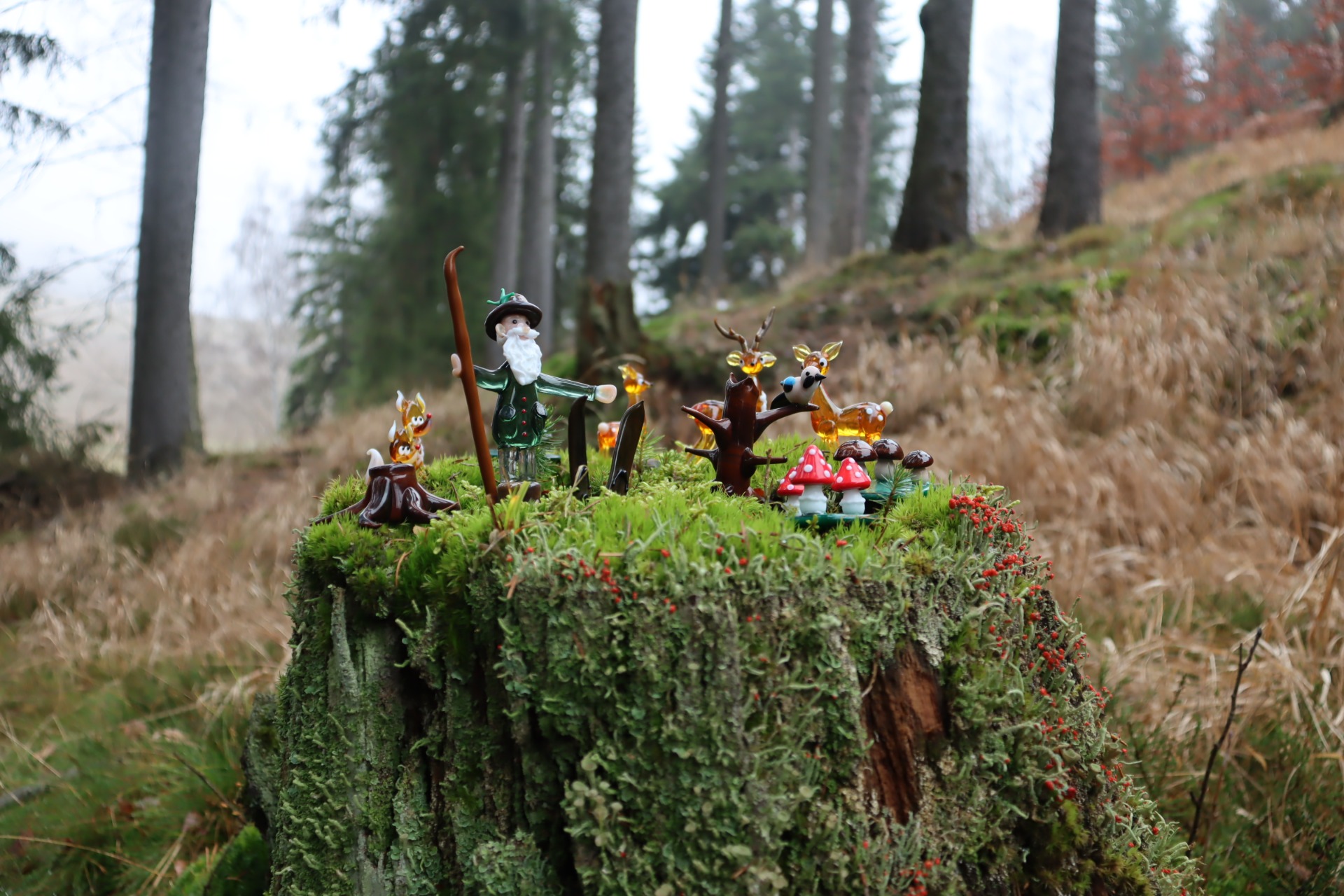 Krakonoš a příprava na zimu